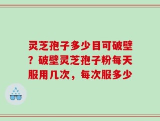 灵芝孢子多少目可破壁？破壁灵芝孢子粉每天服用几次，每次服多少