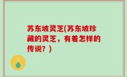 苏东坡灵芝(苏东坡珍藏的灵芝，有着怎样的传说？)