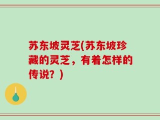 苏东坡灵芝(苏东坡珍藏的灵芝，有着怎样的传说？)