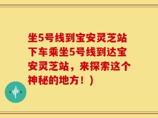 坐5号线到宝安灵芝站下车乘坐5号线到达宝安灵芝站，来探索这个神秘的地方！)