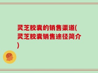 灵芝胶囊的销售渠道(灵芝胶囊销售途径简介)