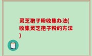 灵芝孢子粉收集办法(收集灵芝孢子粉的方法)