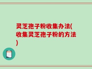 灵芝孢子粉收集办法(收集灵芝孢子粉的方法)