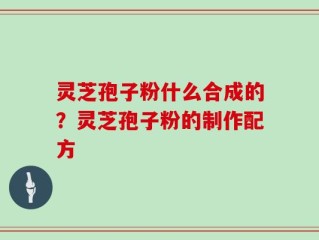 灵芝孢子粉什么合成的？灵芝孢子粉的制作配方