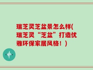 瑞芝灵芝盆景怎么样(瑞芝灵“芝盆”打造优雅环保家居风格！)