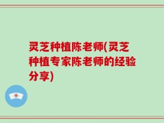 灵芝种植陈老师(灵芝种植专家陈老师的经验分享)