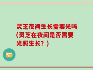 灵芝夜间生长需要光吗(灵芝在夜间是否需要光照生长？)