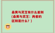 桑黄与灵芝有什么差别(桑黄与灵芝：两者的区别是什么？)