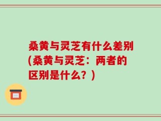 桑黄与灵芝有什么差别(桑黄与灵芝：两者的区别是什么？)