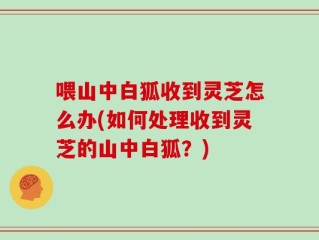 喂山中白狐收到灵芝怎么办(如何处理收到灵芝的山中白狐？)