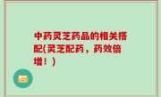 中药灵芝药品的相关搭配(灵芝配药，药效倍增！)