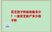 灵芝孢子粉能收集多少？一亩灵芝能产多少孢子粉