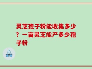 灵芝孢子粉能收集多少？一亩灵芝能产多少孢子粉