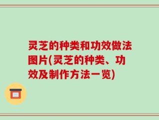 灵芝的种类和功效做法图片(灵芝的种类、功效及制作方法一览)