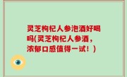 灵芝枸杞人参泡酒好喝吗(灵芝枸杞人参酒，浓郁口感值得一试！)