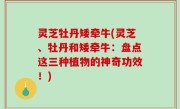 灵芝牡丹矮牵牛(灵芝、牡丹和矮牵牛：盘点这三种植物的神奇功效！)