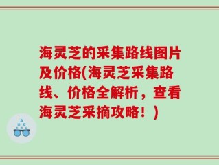 海灵芝的采集路线图片及价格(海灵芝采集路线、价格全解析，查看海灵芝采摘攻略！)