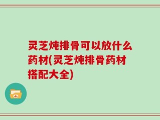 灵芝炖排骨可以放什么药材(灵芝炖排骨药材搭配大全)