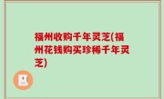 福州收购千年灵芝(福州花钱购买珍稀千年灵芝)