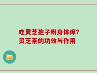吃灵芝孢子粉身体痒？灵芝茶的功效与作用