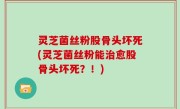 灵芝菌丝粉股骨头坏死(灵芝菌丝粉能治愈股骨头坏死？！)