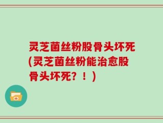 灵芝菌丝粉股骨头坏死(灵芝菌丝粉能治愈股骨头坏死？！)