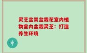 灵芝盆景盆栽花室内植物室内盆栽灵芝：打造养生环境