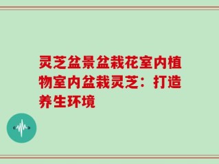 灵芝盆景盆栽花室内植物室内盆栽灵芝：打造养生环境
