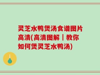 灵芝水鸭煲汤食谱图片高清(高清图解｜教你如何煲灵芝水鸭汤)