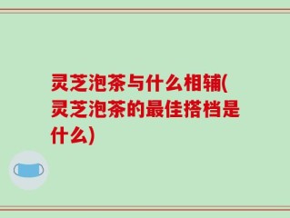 灵芝泡茶与什么相辅(灵芝泡茶的最佳搭档是什么)