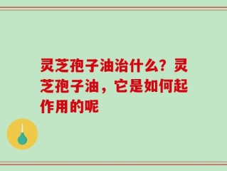 灵芝孢子油治什么？灵芝孢子油，它是如何起作用的呢