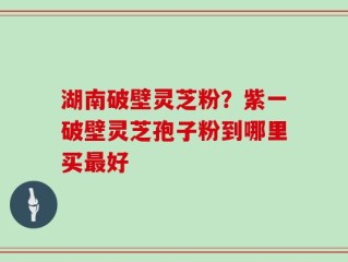 湖南破壁灵芝粉？紫一破壁灵芝孢子粉到哪里买最好