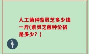 人工菌种紫灵芝多少钱一斤(紫灵芝菌种价格是多少？)