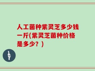人工菌种紫灵芝多少钱一斤(紫灵芝菌种价格是多少？)