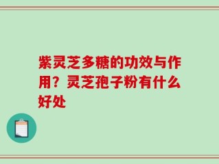 紫灵芝多糖的功效与作用？灵芝孢子粉有什么好处