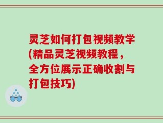 灵芝如何打包视频教学(精品灵芝视频教程，全方位展示正确收割与打包技巧)