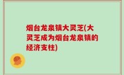烟台龙泉镇大灵芝(大灵芝成为烟台龙泉镇的经济支柱)
