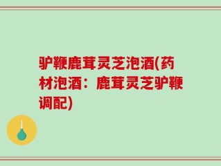 驴鞭鹿茸灵芝泡酒(药材泡酒：鹿茸灵芝驴鞭调配)