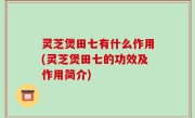 灵芝煲田七有什么作用(灵芝煲田七的功效及作用简介)