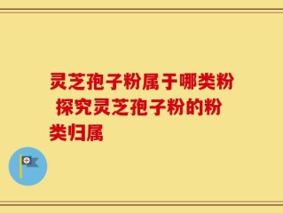 灵芝孢子粉属于哪类粉 探究灵芝孢子粉的粉类归属