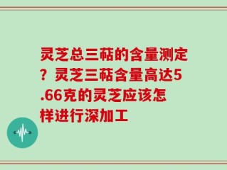 灵芝总三萜的含量测定？灵芝三萜含量高达5.66克的灵芝应该怎样进行深加工