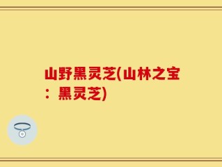 山野黑灵芝(山林之宝：黑灵芝)