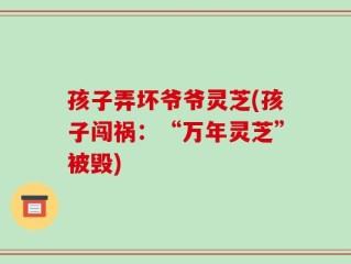 孩子弄坏爷爷灵芝(孩子闯祸：“万年灵芝”被毁)