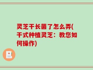 灵芝干长菌了怎么弄(干式种植灵芝：教您如何操作)