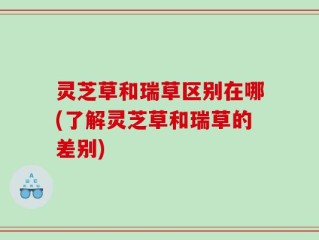 灵芝草和瑞草区别在哪(了解灵芝草和瑞草的差别)