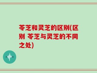 苓芝和灵芝的区别(区别 苓芝与灵芝的不同之处)