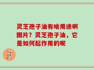 灵芝孢子油有啥用途啊图片？灵芝孢子油，它是如何起作用的呢