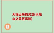 大瑶山采摘灵芝(大瑶山之灵芝采摘)