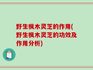野生枫木灵芝的作用(野生枫木灵芝的功效及作用分析)