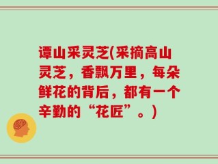 谭山采灵芝(采摘高山灵芝，香飘万里，每朵鲜花的背后，都有一个辛勤的“花匠”。)
